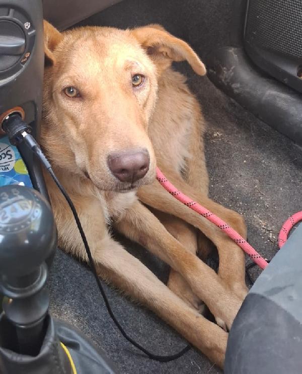 Paolo, dolcissimo e bisognoso di amore Foto 5